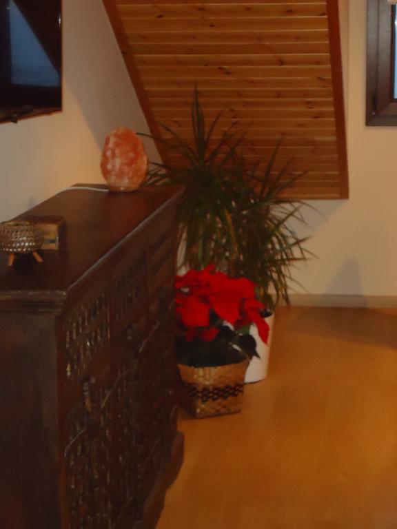 Petralona Apartment Agios Athanasios Eksteriør billede